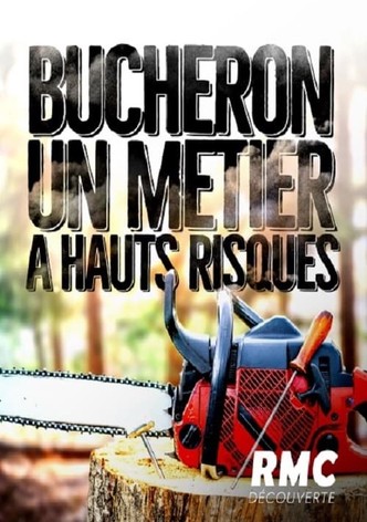 Bûcheron : un métier à hauts risques