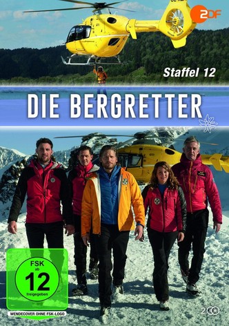 Die Bergretter, Staffel 12