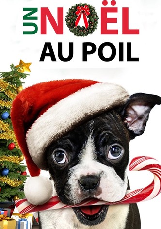 Un Noël au poil