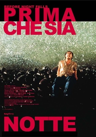 Prima che sia notte