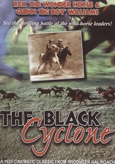 Black Cyclone