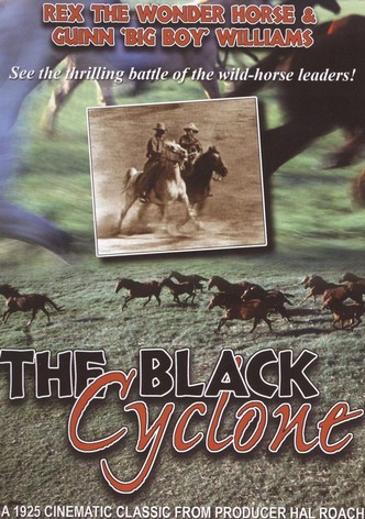 Black Cyclone