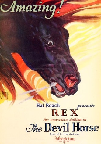 Rex the Devil Horse