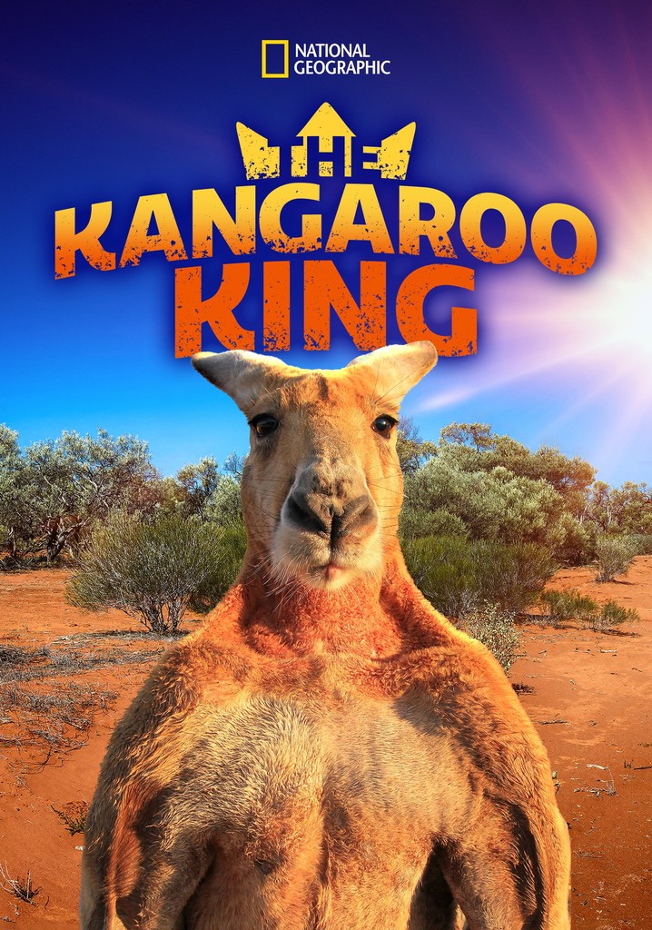 The Kangaroo King