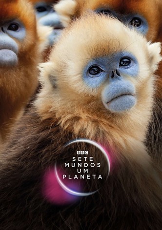 Sete Mundos, Um Planeta