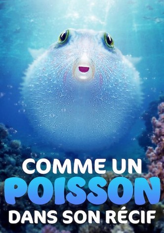 Comme un poisson dans son récif