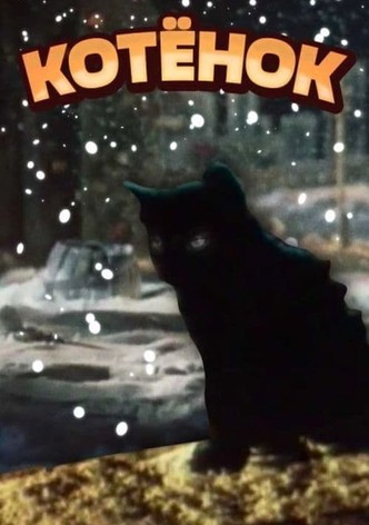 The Kitten
