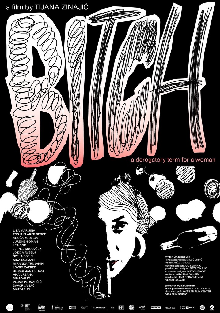 Bitch, A Derogatory Term for a Woman