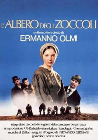 L'albero degli zoccoli