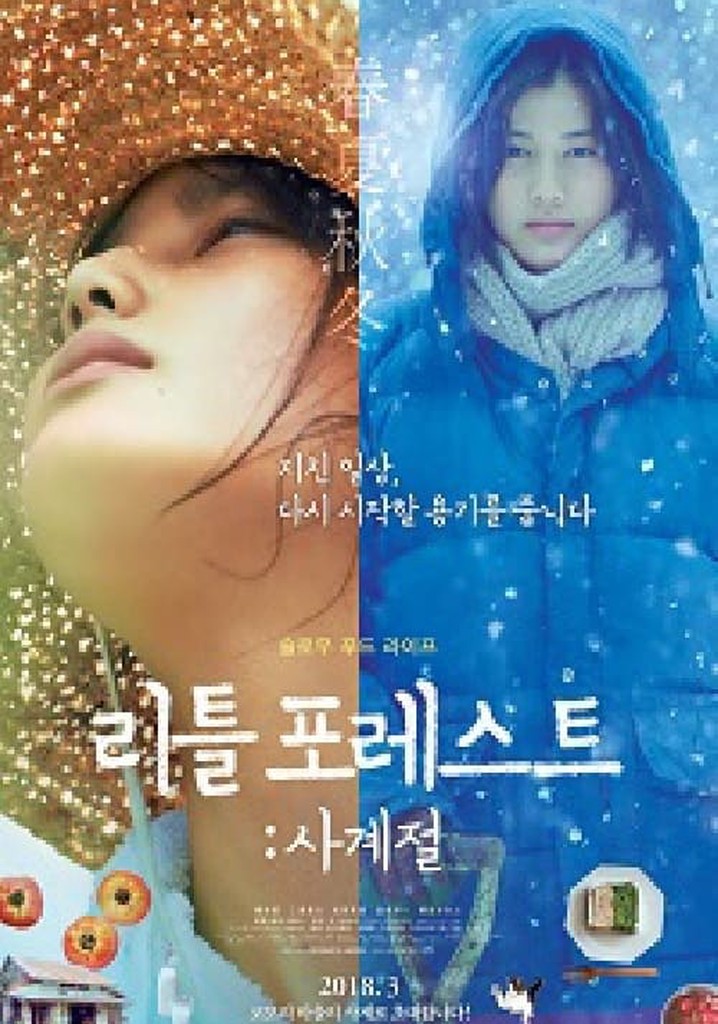 Little Forest: Four Seasons