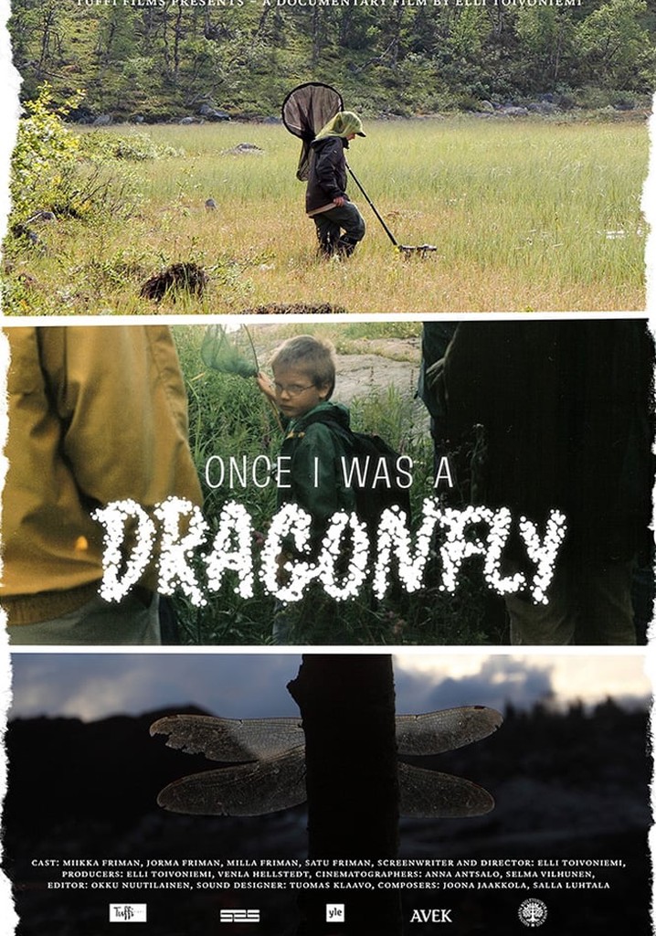 Once I Was a Dragonfly