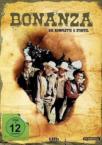 Staffel 6