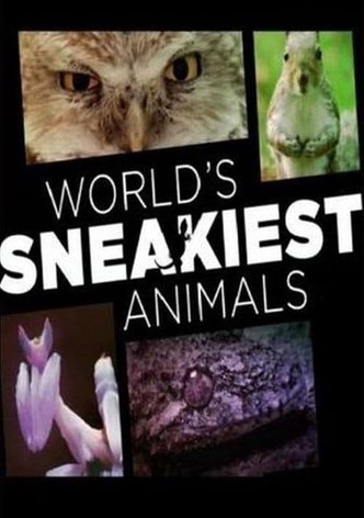 World's Sneakiest Animals