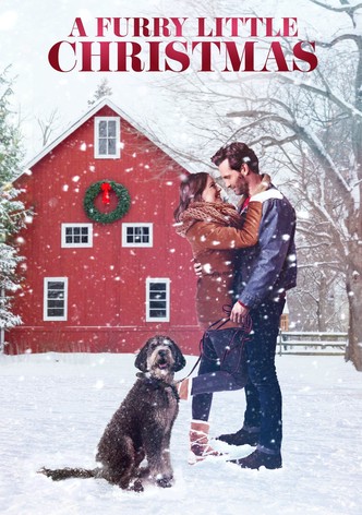 Un beau-père à Noël