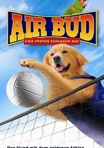 Air Bud 5 - Vier Pfoten schlagen auf