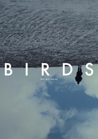 Birds (Or How to Be One)