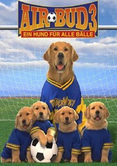 Air Bud 3 - Ein Hund für alle Bälle