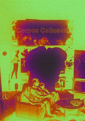 *Corpus Callosum
