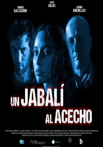 Un jabalí al acecho