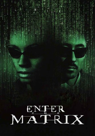 Making 'Enter the Matrix'