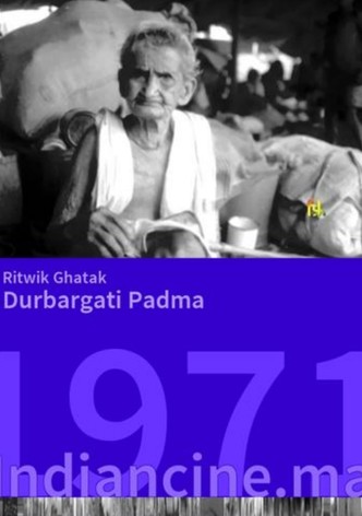 দুর্বার গতি পদ্মা