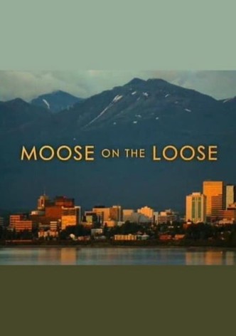 Moose on the Loose