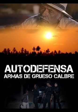 Autodefensa: Armas de Grueso Calibre