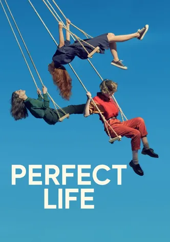 Perfect Life poster