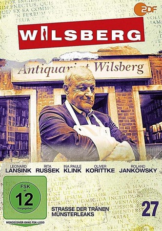 Wilsberg