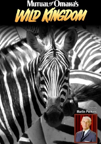 Mutual of Omaha's Wild Kingdom