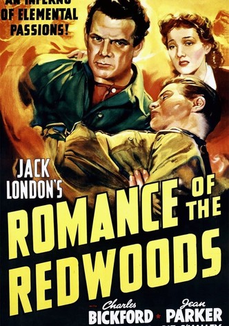 Romance of the Redwoods