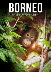 Borneo - Faszination Asien