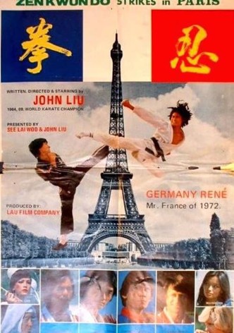 zen kwun do strikes in Paris