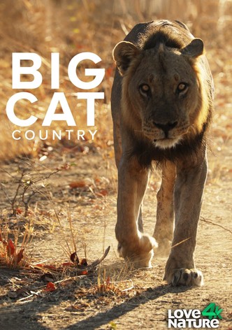 Big Cat Country S01