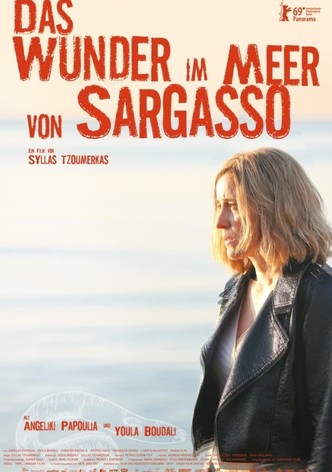 Das Wunder im Meer von Sargasso
