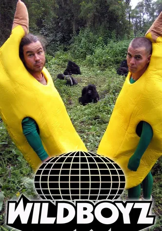 Wildboyz poster
