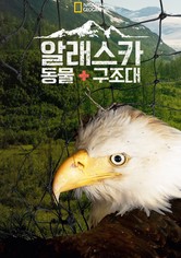 알래스카 동물 구조대