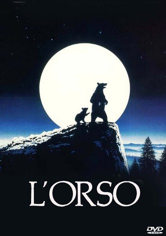 L'orso