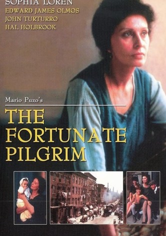The Fortunate Pilgrim
