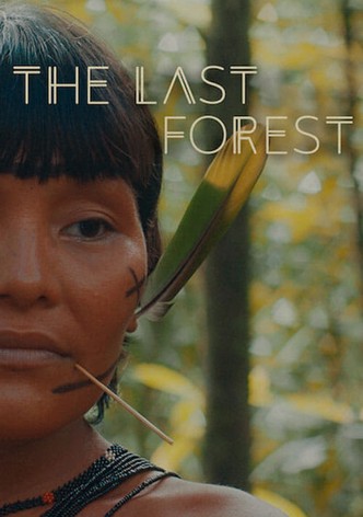 The Last Forest