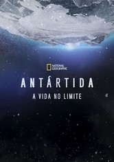 Antártida: O Continente Gelado
