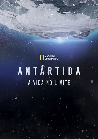 Antártida: O Continente Gelado