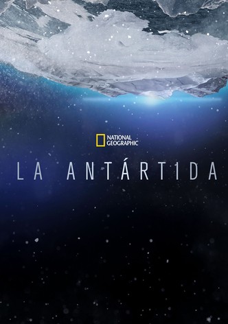 Antártida el Continente Blanco