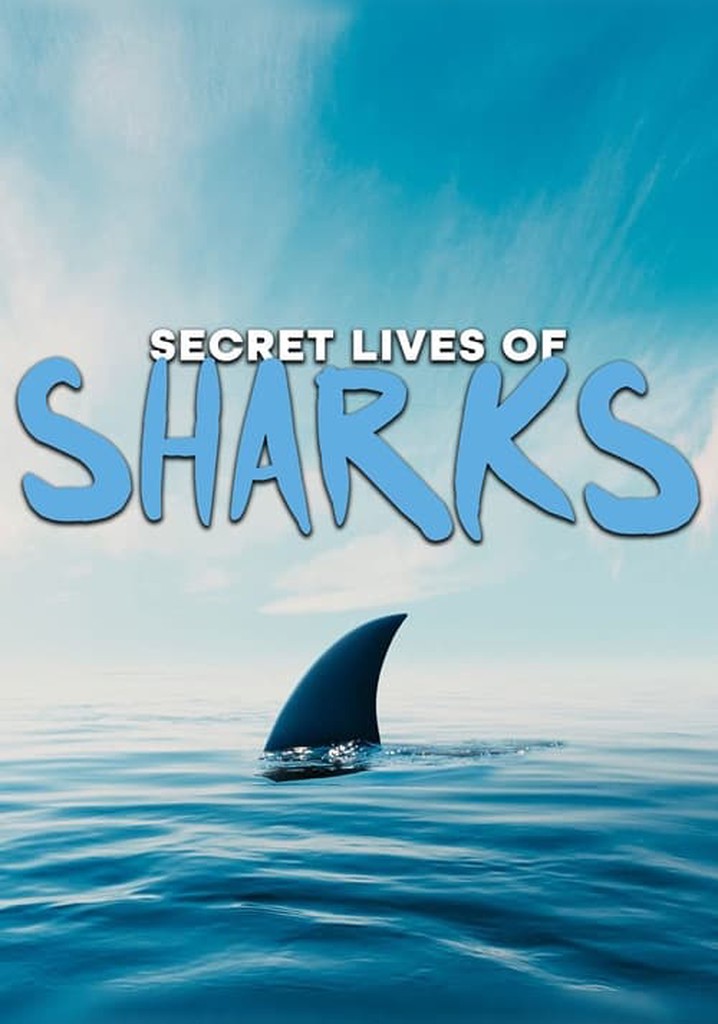 Saison 1 The Secret Lives Of Sharks Streaming Où Regarder Les épisodes 