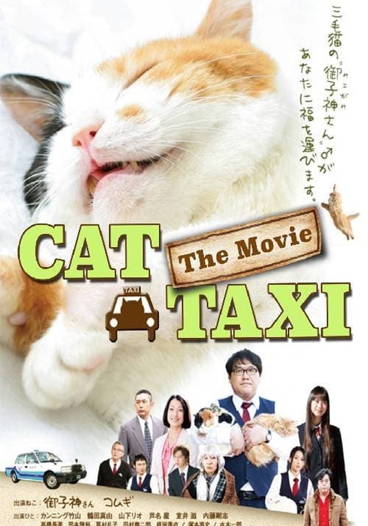 Cat Taxi