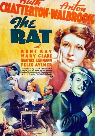 The Rat