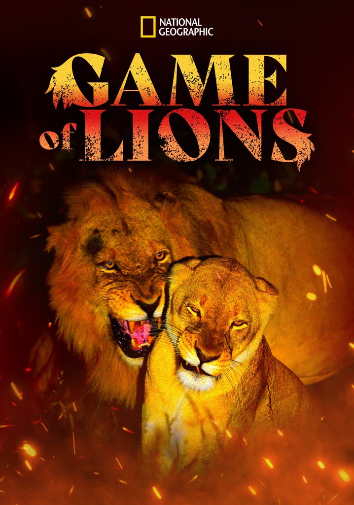 Game of Lions streaming: where to watch online?