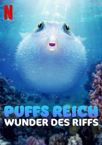 Puffs Reich: Wunder des Riffs