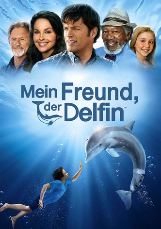 Mein Freund, der Delfin