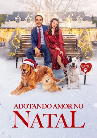 Adotando Amor no Natal